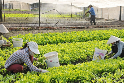 Ban hành biểu mẫu sử dụng trong lĩnh vực quản lý nhà nước Ban hành biểu mẫu sử dụng trong lĩnh vực quản lý nhà nước