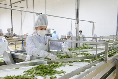 Sơn La: Thu hút đầu tư, hướng tới trung tâm công nghiệp chế biến