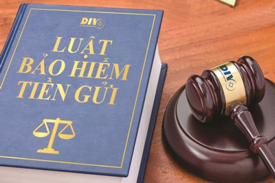 Phát huy vai trò, vị thế của tổ chức bảo hiểm tiền gửi Phát huy vai trò, vị thế của tổ chức bảo hiểm tiền gửi
