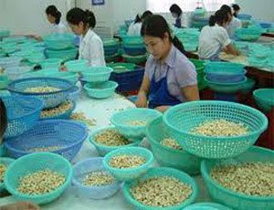 Công tác dự báo của doanh nghiệp - nhìn từ bài học của Lafooco 