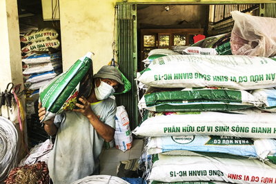 Giá phân bón, thuốc bảo vệ thực vật tăng: Nông dân gặp khó