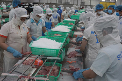 Đến năm 2025, giá trị kim ngạch xuất khẩu cá tra đạt trên 980 triệu USD