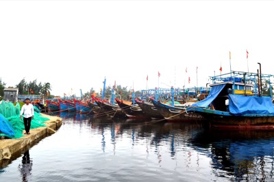 Quảng Nam cấp thiết đầu tư hạ tầng nghề cá