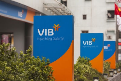 VIB thu xếp cấp tín dụng hợp vốn 780 tỷ đồng cho EVN