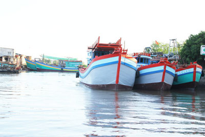 Tăng cường các giải pháp chống khai thác hải sản bất hợp pháp