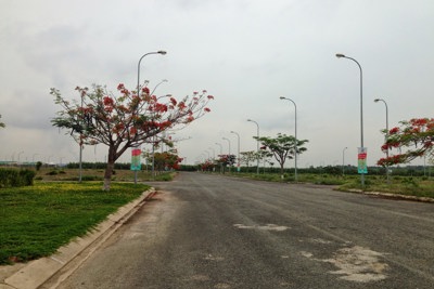 Những dự án bất động sản sẽ tăng giá nhờ cầu Cát Lái