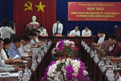 Long An thu ngân sách đạt 12.100 tỷ đồng bằng 106% dự toán