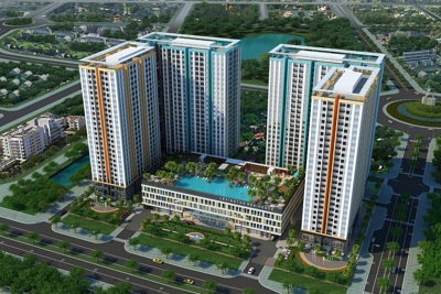 TP. Hồ Chí Minh đề nghị Chính phủ không đấu giá khu đất ở Quận 2 của Novaland