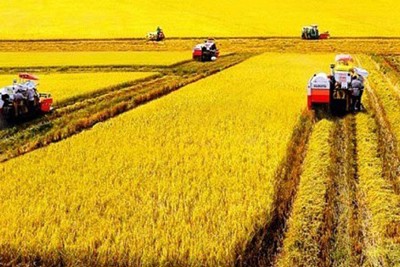Kinh nghiệm quốc tế về chuyển đổi cơ cấu sử dụng đất nông nghiệp và gợi ý cho Việt Nam