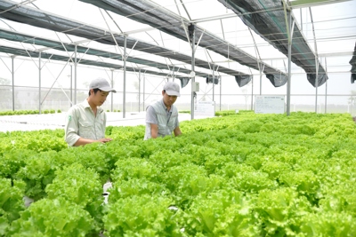 Hệ thống tiêu chí đánh giá phát triển kinh tế trang trại bền vững ở Việt Nam