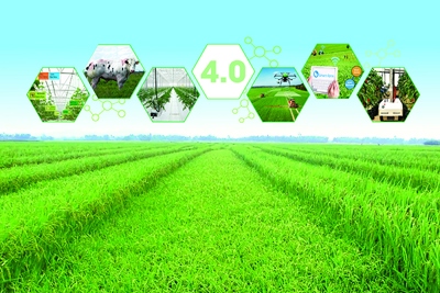 Mô hình tích hợp giải thích ý định cấp tín dụng cho sản xuất nông nghiệp ứng dụng công nghệ cao 