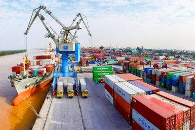 Xuất nhập khẩu hàng hóa của Việt Nam năm 2021 ước đạt 668,55 tỷ USD