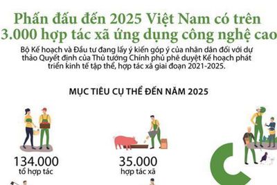 [Infographics] Phấn đấu đến 2025, Việt Nam có hơn 3.000 hợp tác xã ứng dụng công nghệ cao