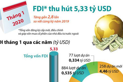 [Infographics] Thu hút FDI đạt 5,33 tỷ USD trong tháng 1