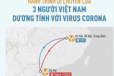 [Infographics] 3 người Việt nhiễm corona đã đi nhiều nơi, gặp nhiều người