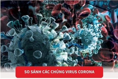 [Infographics] So sánh các chủng virus corona