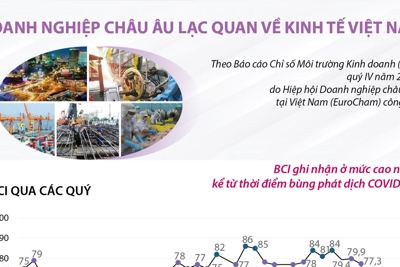 [Infographics] Doanh nghiệp châu Âu lạc quan về kinh tế Việt Nam