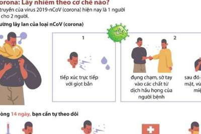 [Infographics] Virus 2019-nCoV lây nhiễm theo cơ chế nào?