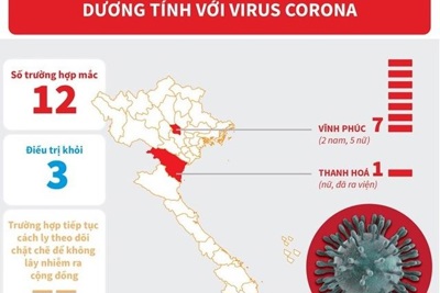[Infographics] 12 trường hợp nhiễm virus corona tại Việt Nam
