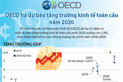 [Infographics] OECD hạ dự báo tăng trưởng kinh tế toàn cầu năm 2020