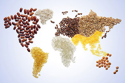 [Infographics] Các quốc gia hàng đầu thế giới về an ninh lương thực
