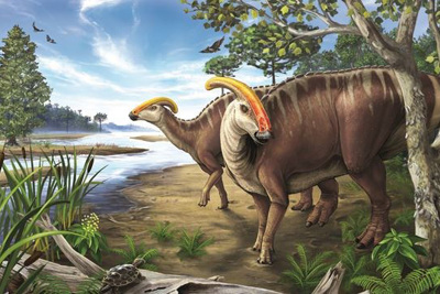 [Video] Phát hiện ADN trong hóa thạch khủng long 75 triệu năm 