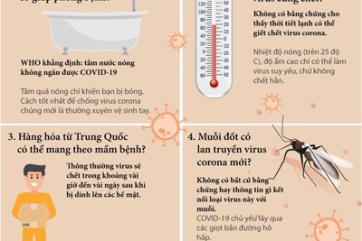 [Infographics] Những tin đồn về chủng virus corona mới 
