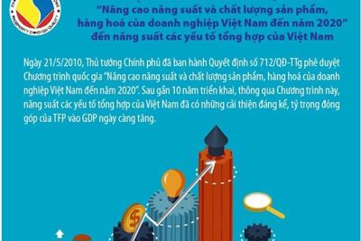 [Infographics] Tác động của của chương trình quốc gia “Nâng cao năng suất và chất lượng sản phẩm, hàng hoá của doanh nghiệp Việt Nam đến năm 2020”