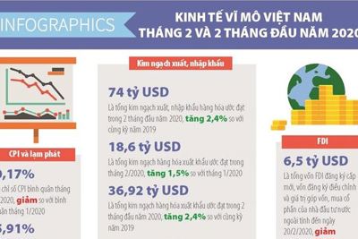 [Infographics] Số liệu kinh tế vĩ mô Việt Nam tháng 2 và 2 tháng đầu năm 2020