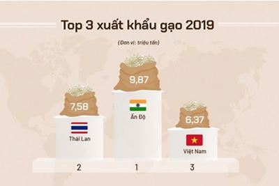 [Infographics] Việt Nam xuất khẩu gạo thế nào 