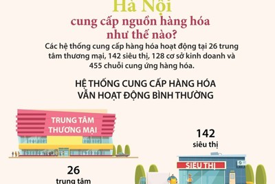 [Infographics] Hà Nội đảm bảo đủ hàng hóa phục vụ nhân dân chống dịch