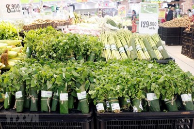 Siêu thị gói rau bằng lá chuối: Thiết thực bảo vệ môi trường