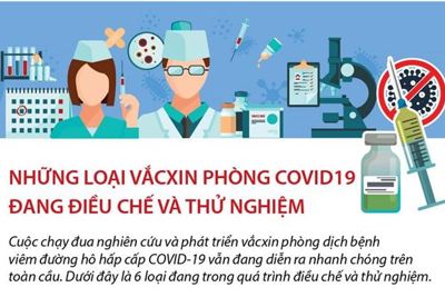 [Infographics] Những loại vắcxin phòng COVID-19 đang điều chế và thử nghiệm