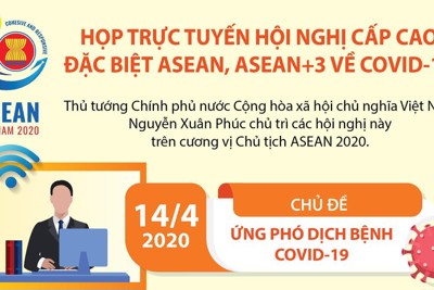 [Infographics] Họp trực tuyến Hội nghị Cấp cao đặc biệt ASEAN về COVID-19