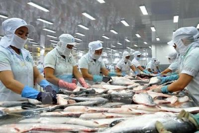 Đầu tư nâng cao chất lượng cá tra để tăng sức cạnh tranh