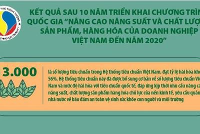 [Infographics] Kết quả sau 10 năm triển khai Chương trình “Nâng cao năng suất và chất lượng sản phẩm, hàng hóa của DN Việt Nam đến năm 2020”