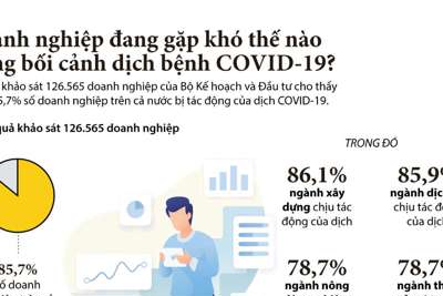 [Infographics] Doanh nghiệp đang gặp khó thế nào trong bối cảnh dịch bệnh COVID-19?