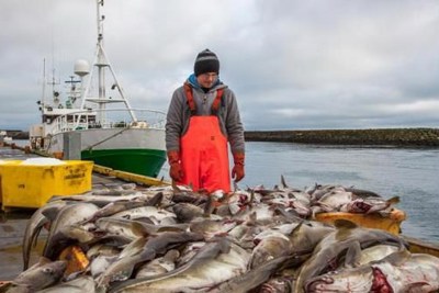 EU áp dụng công cụ mới chống đánh bắt hải sản trái phép