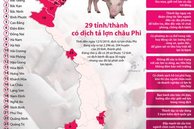 29 tỉnh/thành có dịch tả lợn châu Phi