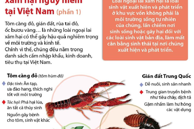 [Infographic] Những loài động vật ngoại lai xâm hại nguy hiểm tại Việt Nam