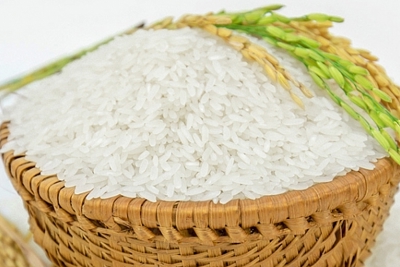 Giá lúa gạo ngày 24/5: Giá gạo nguyên liệu giảm 100 đồng/kg