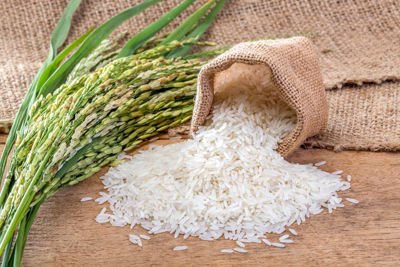 Giá lúa gạo ngày 28/5: Giá gạo xuất khẩu bất ngờ giảm 5 USD/tấn