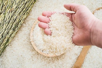 Giá lúa gạo ngày 30/5: Cuối tuần giao dịch chậm giá lúa gạo ổn định