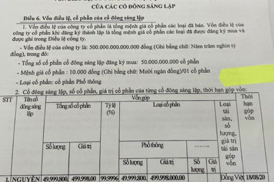 TP. Hồ Chí Minh xuất hiện "siêu doanh nghiệp" vốn đăng ký... 500.000 tỷ đồng