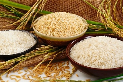 Giá lúa gạo ngày 4/6: Giá gạo tiếp tục giảm nhẹ