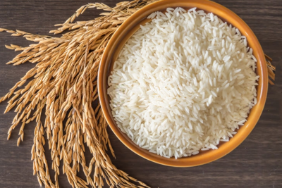 Giá lúa gạo ngày 6/6: Xu hướng giảm mạnh
