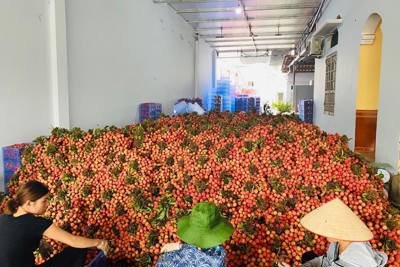  Mở 5 điểm kết nối tiêu thụ nông sản Việt tại Hà Nội