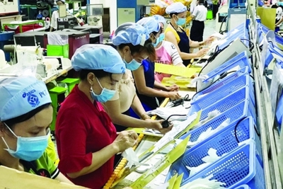 TP. Hồ Chí Minh: Vốn doanh nghiệp thành lập mới 5 tháng tăng hơn 36%
