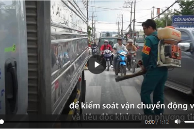 [Video] TP. Hồ Chí Minh phong tỏa ổ dịch tả lợn châu Phi