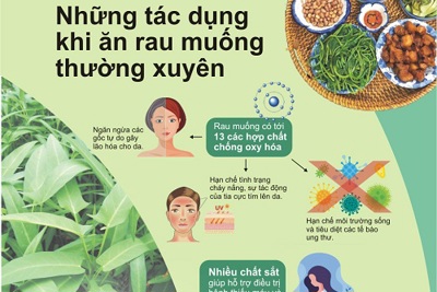 [Infographics] Những tác dụng khi ăn rau muống thường xuyên